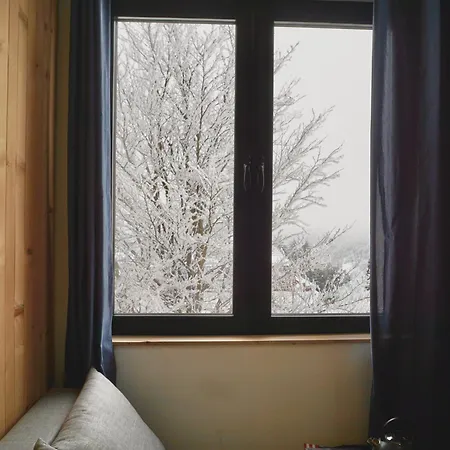 בית הארחה Montana 3*