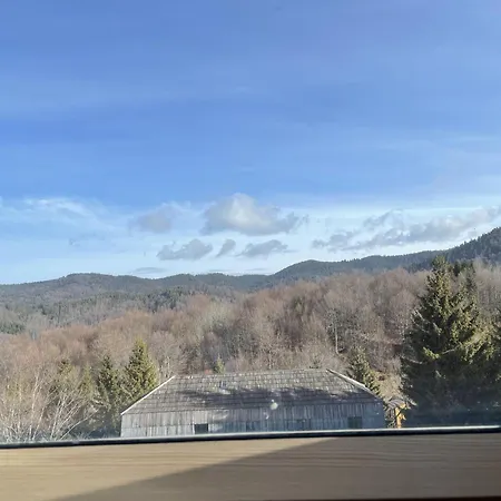 Pensiune Montana