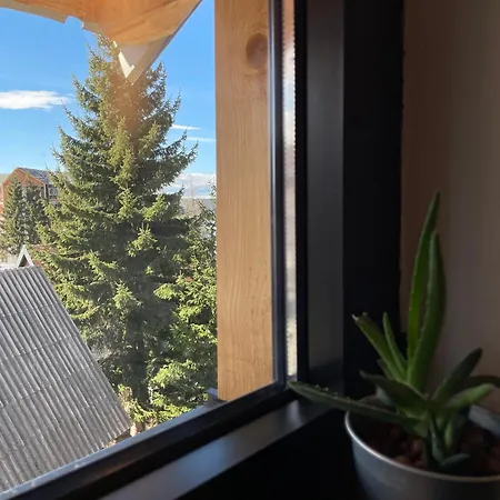 Montana Pensiune Lisina