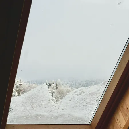 בית הארחה Montana 3*